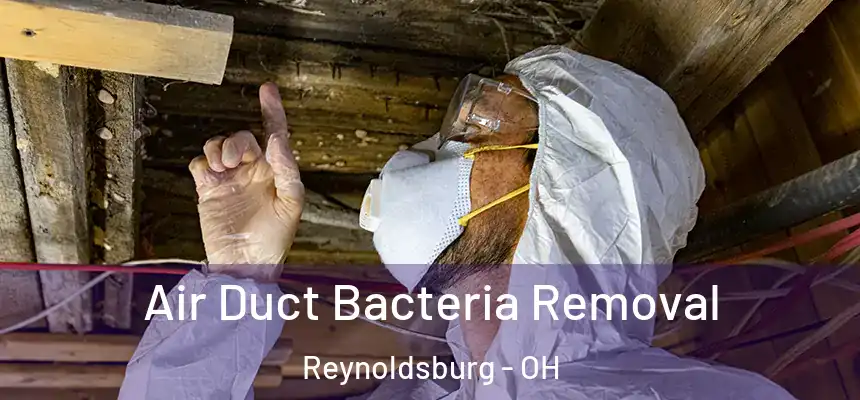  Air Duct Bacteria Removal Reynoldsburg - OH
