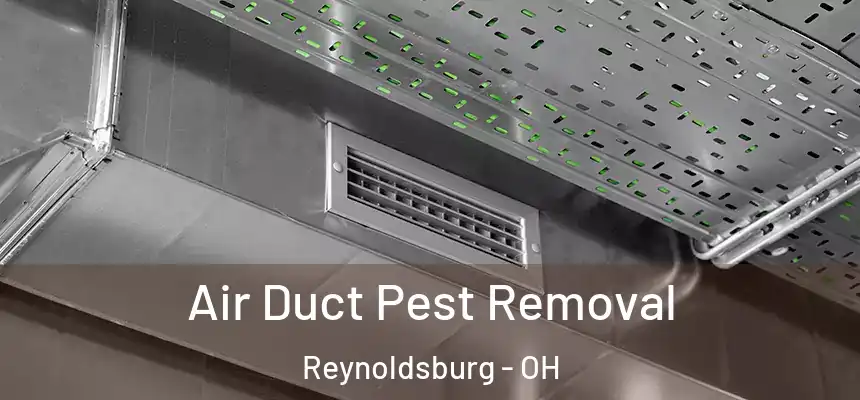 Air Duct Pest Removal Reynoldsburg - OH