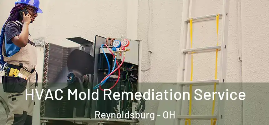  HVAC Mold Remediation Service Reynoldsburg - OH