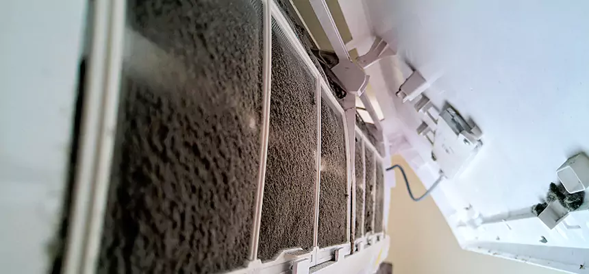 Preventive Air Duct Bacteria Removal in Reynoldsburg