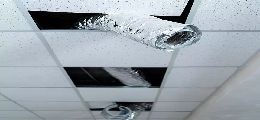 Affordable HVAC Sanitizing After Pest Removal in Reynoldsburg