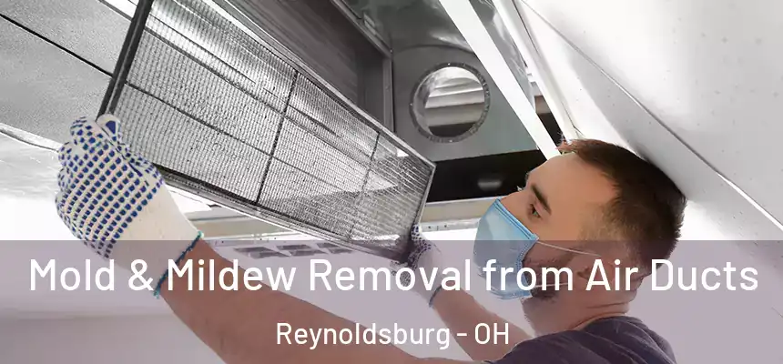 Mold & Mildew Removal from Air Ducts Reynoldsburg - OH