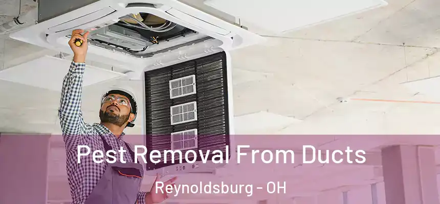  Pest Removal From Ducts Reynoldsburg - OH