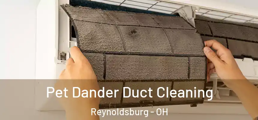 Pet Dander Duct Cleaning Reynoldsburg - OH
