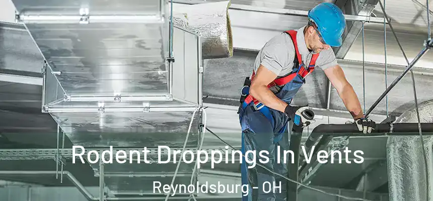  Rodent Droppings In Vents Reynoldsburg - OH