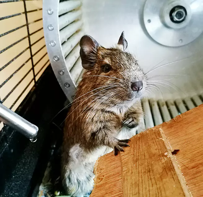 Why Homeowners & Businesses Trust Us Reynoldsburg, OH