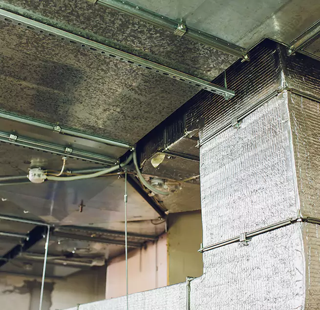 Why Homeowners & Businesses Trust Us in Reynoldsburg, OH?